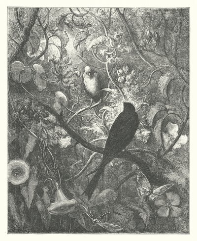 De Fabels van La Fontaine: Philomel en Progne door Gustave Dore