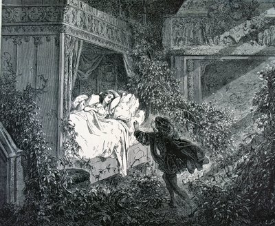 De Prins komt de slaapkamer van de Prinses binnen in het betoverde kasteel, illustratie voor 