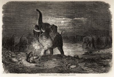 De jager verrast door een olifant, nabij het Ngami-meer (Botswana), tekening door Gustave Doré (1832-1883), ter illustratie van de avonturen en jachten van Charles Jean Anderson in Zuidelijk Afrika. Gravure in 