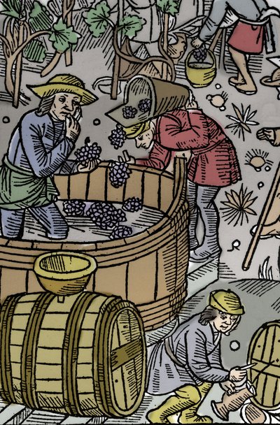 Oogst - druivenoogst - Herderkalender - De werken van de maanden - Oktober - Houtsnede uit het boek van 1496 gedrukt door Guy Marchant in Troyes - Houtsnede in 