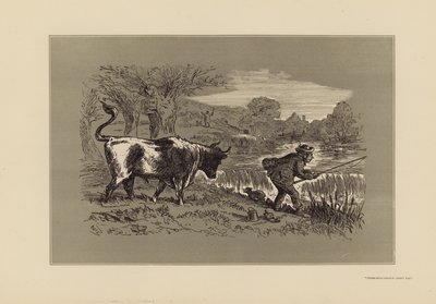 Visserijschetsen, nr. 1, Kijk achterom door Hablot Knight (1815 92) Browne