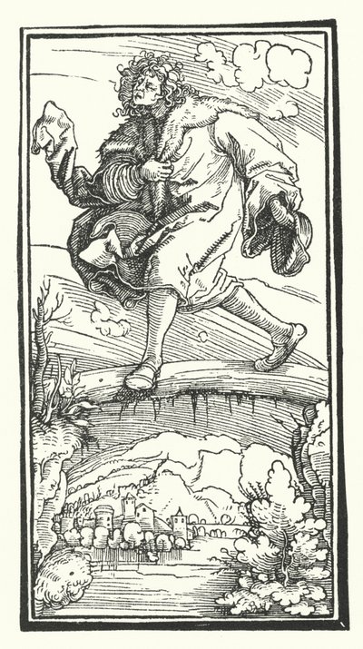 Houtsnede uit De Remediis Utriusque Fortunae (Remedies voor Geluk en Ongeluk) door Petrarca (gravure) door Hans (after) Burgkmair