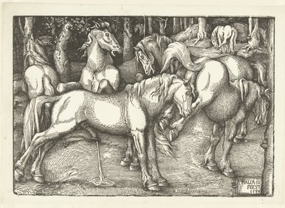 Groep van zes vechtende paarden door Hans Baldung Grien