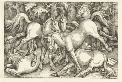 Groep van zeven vechtende paarden door Hans Baldung Grien