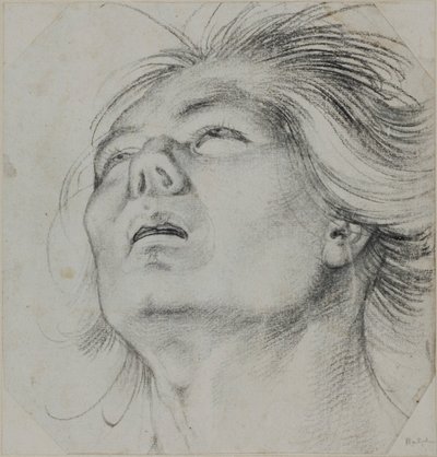  door Hans Baldung Grien