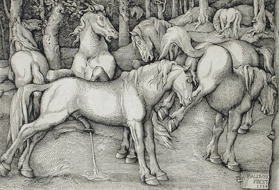  door Hans Baldung Grien