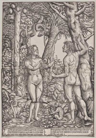 De zondeval van Adam en Eva door Hans Burgkmair