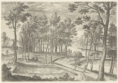 Gezicht op de vijvers van Ter Kameren door Hans Collaert (I)