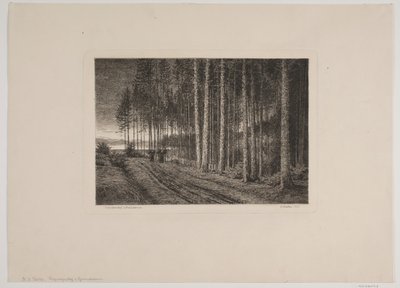 Regenachtige dag in het sparrenbos door Hans Julius Fæster