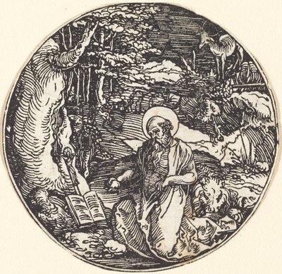 Sint Hiëronymus in Boetedoening door Hans Springinklee