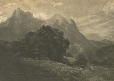 Berglandschap door Hans Watzek