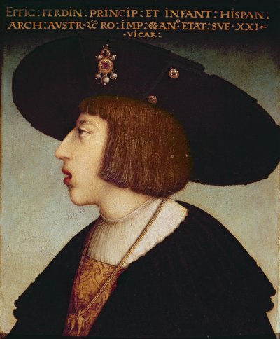 Portret van Ferdinand I, Heilige Roomse Keizer door Hans or Johan Maler