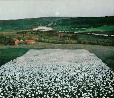 Bloemenweide in het noorden door Harald Oscar Sohlberg