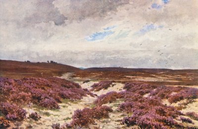 Frensham Common door Harold Sutton Palmer