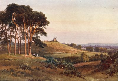 Reigate Heath, avond door Harold Sutton Palmer
