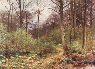 Het Huisje van de Jachtopziener door Harold Sutton Palmer