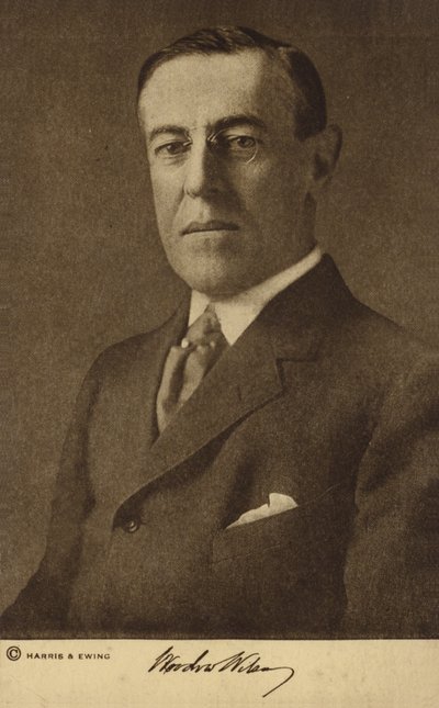 Woodrow Wilson (z/w foto) door Harris & Ewing