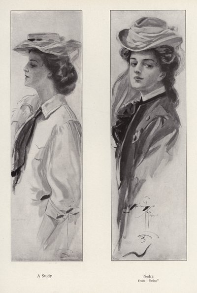 Het personage Nedra uit de roman Nedra, door George Barr McCutcheon door Harrison Fisher