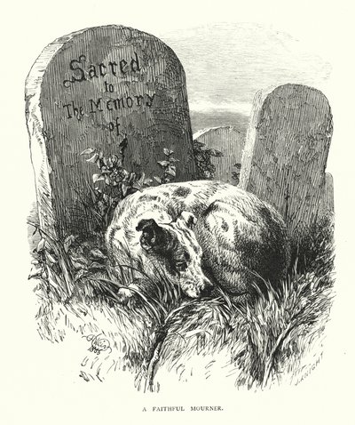 Een Trouwe Rouwende door Harrison William Weir