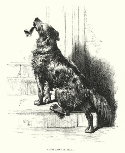 Chum en de Bel (gravure) door Harrison William Weir