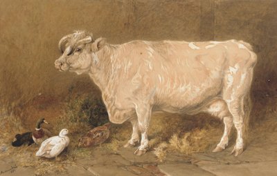 Koe met eenden in een schuur door Harrison William Weir