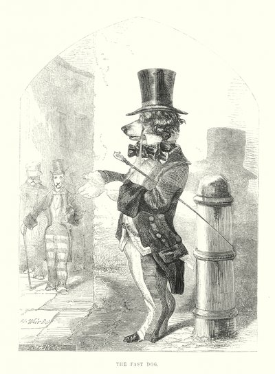 Grappige honden: de snelle hond (gravure) door Harrison William Weir