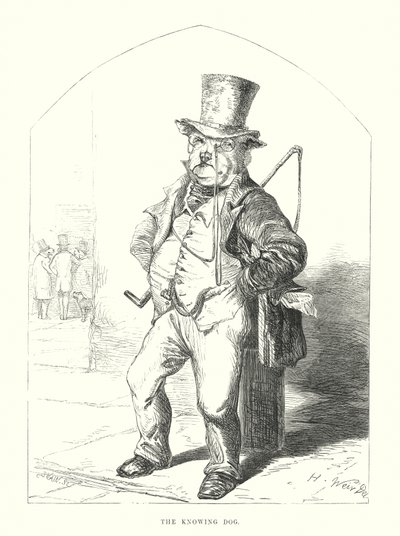Grappige honden: de wetende hond (gravure) door Harrison William Weir
