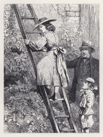 Harriet gluurt naar het nest van de roodborstjes (gravure) door Harrison William Weir