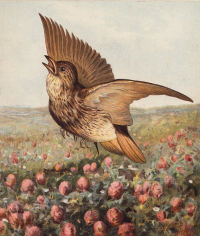 In de klaver door Harrison William Weir
