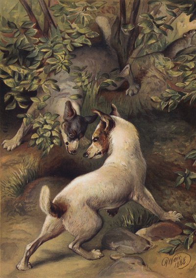 Twee honden proberen een waterplas te bereiken om te drinken door Harrison William Weir