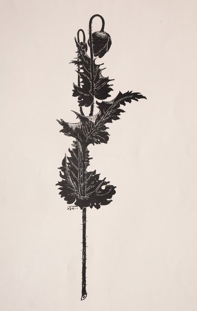 Bloemenstudie door Harry Fenn