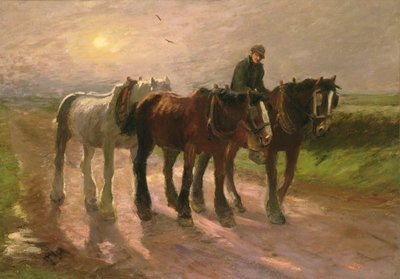 Op Weg naar Huis door Harry Fidler