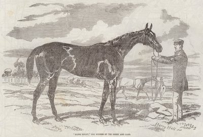 Blink Bonny, de Winnaar van de Derby en Oaks door Harry Hall