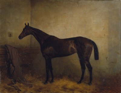 Chaplet, een bruine renmerrie in een losse box, c.1877 door Harry Hall