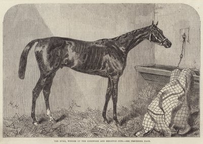 The Duke, winnaar van de Goodwood en Brighton Cups door Harry Hall