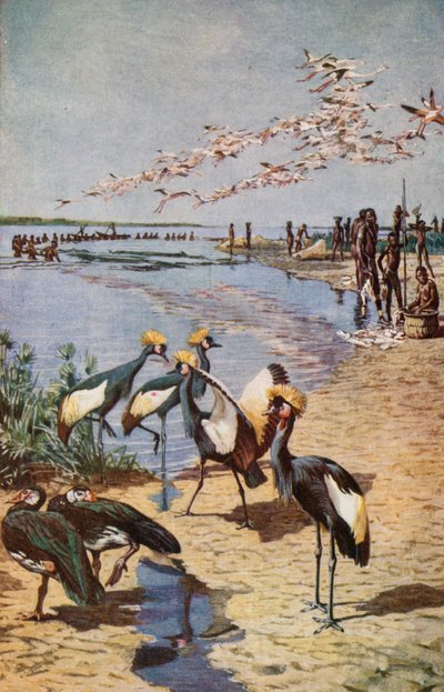 De Noordelijke Kusten van het Tsjaadmeer, gezien door Denham in 1822 door Harry Hamilton Johnston