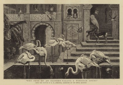 De Huisdieren van een Oosters Paleis, een Tunesische Studie door Harry Hamilton Johnston