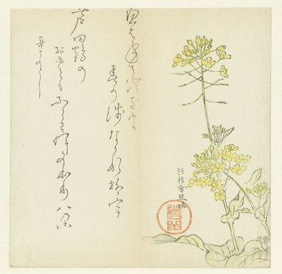 Bloemen door Hasegawa Settan