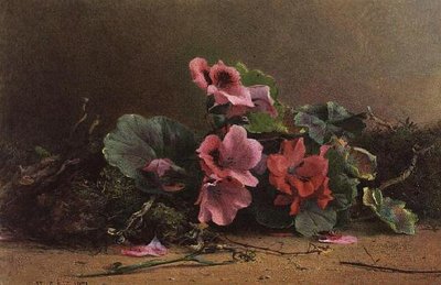 Een Studie van Geraniums door Hector Caffieri