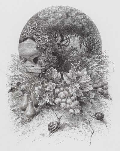 Het insect: Slakken (gravure) door Hector Giacomelli