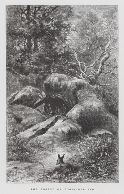Het insect: Het bos van Fontainebleau door Hector Giacomelli