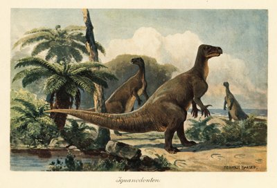 Iguanodon bernissartensis in een prehistorisch varensbos door Heinrich Harder