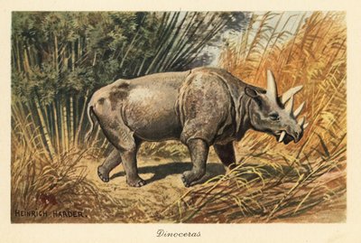 Uintatherium anceps in een jungle open plek door Heinrich Harder