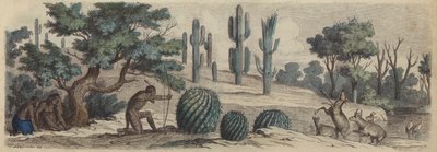 Colorado door Heinrich Leutemann
