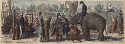 In een dierentuin in Duitsland (gekleurde gravure) door Heinrich Leutemann