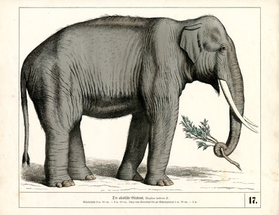  door Heinrich Leutemann