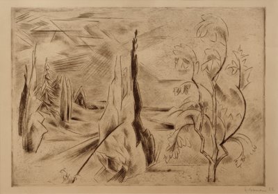 Groot parklandschap door Heinrich Nauen