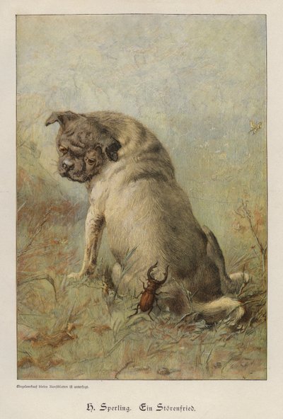 Een onruststoker door Heinrich Sperling