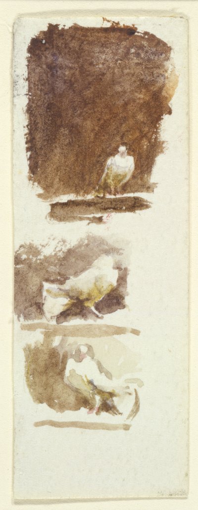Duiven door Helen Allingham