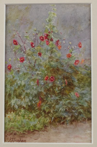 Bloemenrand, stokroos en dahlia
